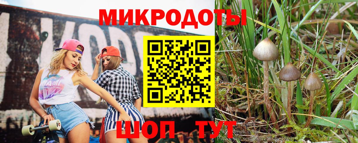 Галлюциногенные грибы ЛСД  Псилоцибиновые грибы мицелий  Вход с VPN  Невинномысск 